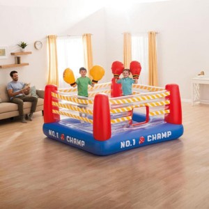 نمایندگی محصولات بادی اینتکس