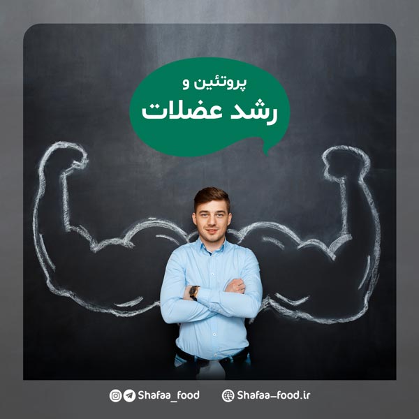 تاثیر مصرف پروتئین در رشد عضلات ورزشکاران