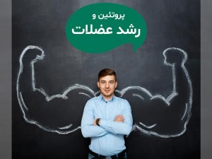 تاثیر مصرف پروتئین در رشد عضلات ورزشکاران