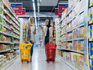 سبد خرید چرخدار فروشگاهی تمام پلاستیکی لستر