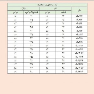 کراپ‌ تاپ زنانه ساده یقه گرد رنگ مشکی