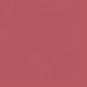 رژ لب مات MATTE ALLURE LIPSTICK  - PEONY شیگلم SHEGLAM