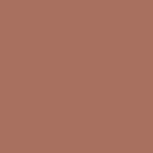 خط لب SO LIPPY -MISTY ROSE شیگلم SHEGLAM