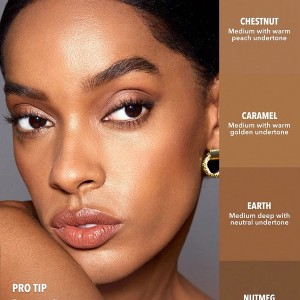کانسیلر  PERFECT SKIN HIGH COVERAGE CONCEALER -EARTH شیگلم SHEGLAM