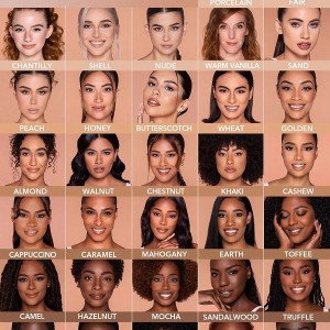 کرم پودر مخصوص پوست  رنگ NUTMEG شیگلم SHEGLAM COMPLEXION PRO با پوشش مات و ماندگاری طولانی‌