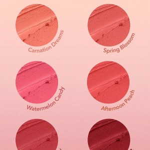رژگونه CHEEKY COLOR JAM رنگ ROSE MEADOW شیگلم SHEGLAM
