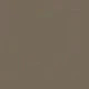 ژل ابروی Expert رنگ TAUPE شیگلم SHEGLAM