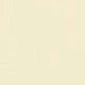 استیک مرطوب کننده INSTA-COOL شیگلم SHEGLAM