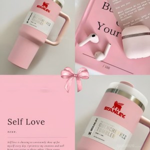 ماگ دسته دار برند استنلی
