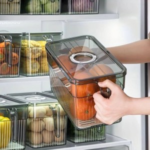 نگهدارنده و نظم دهنده یخچالی