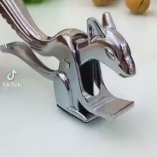 گردو شکن مدل سنجاب