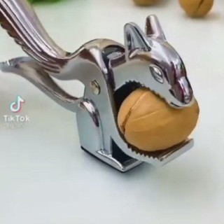 گردو شکن مدل سنجاب