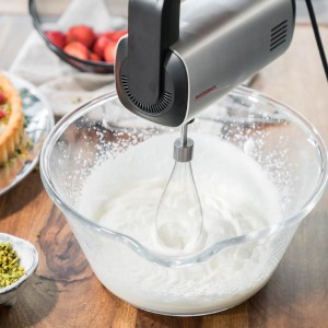 همزن دستی حرفه ای گاستروبک 40983