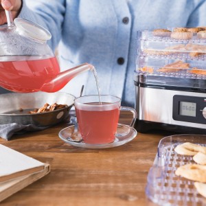 میوه خشک کن گاستروبک 46600