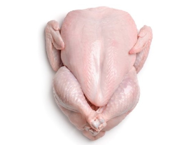 گوشت تازه مرغ کامل (یک کیلو و ششصد گرمی)