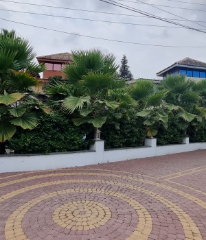 (کد۶۵) ویلا  استخردار در نوشهر - صلاح الدینکلا - شهرک آزالیا