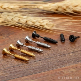 گوشواره خفن پسرانه RTINA