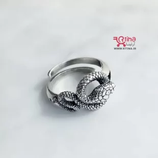 اکسسوری مار