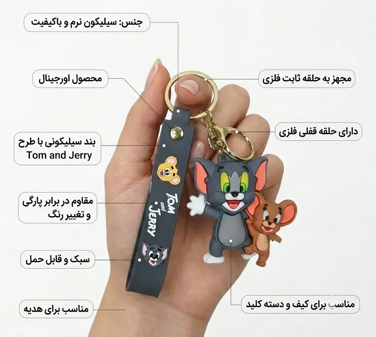 مشخصات اصلی