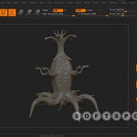 softspot.ir-zbrush-top-learning-collection-part-1-02.jpg