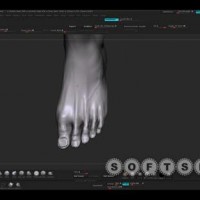 softspot.ir-zbrush top learning collection part2-07.jpg