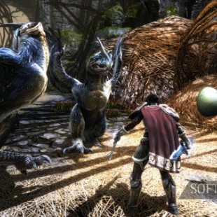 بازی Kingdoms of Amalur Re-Reckoning