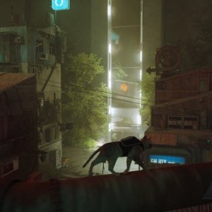 بازی Stray