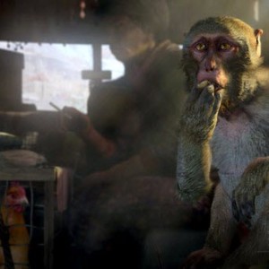 بازی Far Cry 4