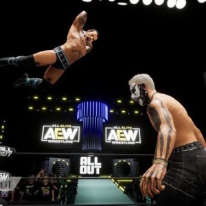 بازی AEW Fight Forever