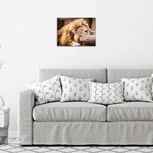 تخته شاسی طرح Lion Sleeping MDF-55