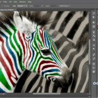 softspot.ir-photoshopcc-one-on-one-0022.jpg