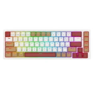 کیبورد مخصوص بازی ردراگون مدل Rammus K677 WLR Pro