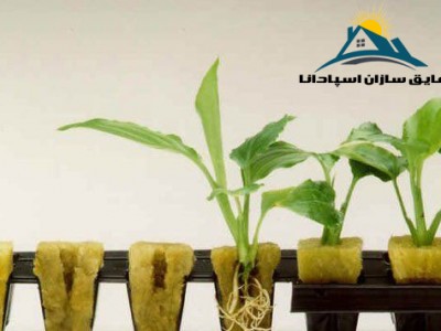 کاربرد پشم سنگ در هیدروپونیک (کشت بدون خاک) (مطلب)