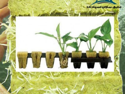 پشم سنگ بستر کشت هیدروپونیک (مطلب)