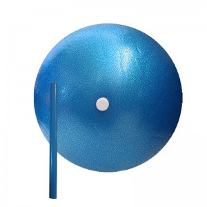 توپ پیلاتس  فونیکس قطر 20 سانتی متر نی دار مدل Pilates Golden Star Ball| آبی