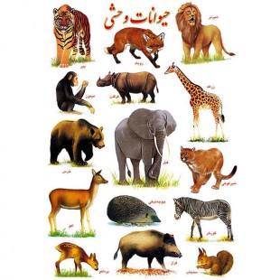برچسب آموزشی حیوانات وحشی