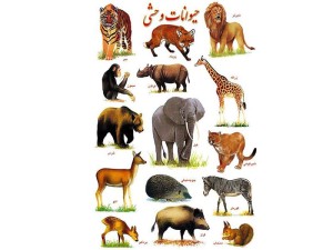 برچسب آموزشی حیوانات وحشی