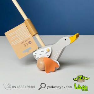 واکر راهبر عصایی طرح غاز پیکاردو