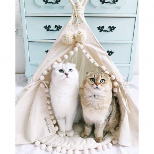 چادر سرخپوستی سگ و گربه دست ساز pet tent با تشک