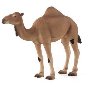 فیگور شتر عربی برند موجو - MOJO ARABIAN CAMEL