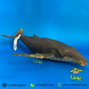 فیگور نهنگ گوژپشت یا کوهاندار برند موجو 387277 -  Humpback Whale Deluxe figure