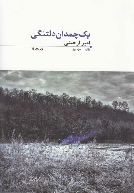 کتاب پازل  شعر امروز 35 یک چمدان دلتنگی