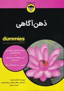 کتاب ذهن آگاهی دامیز