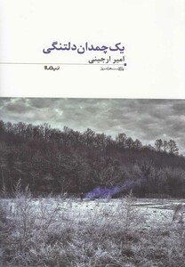 کتاب پازل  شعر امروز 35 یک چمدان دلتنگی