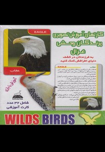 کتاب کارتهای آموزشی تصویری پرندگان وحشی