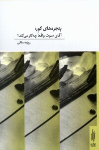 کتاب پنجره‌های کور آقای‌ سوث‌ واقعا چه ‌کار ‌می‌کند