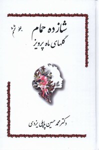 کتاب شازده حمام جلد ‌6