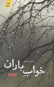 کتاب خواب باران