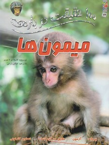 کتاب 100 حقیقت درباره ی  22 میمون ها