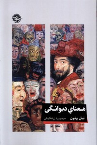 کتاب معنای دیوانگی